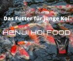 KENJI Koi Color & Growth 5kg – Bild 9
