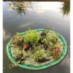Schwimmende Pflanzeninsel – Bild 2
