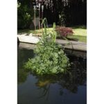 Schwimmende Pflanzeninsel – Bild 4
