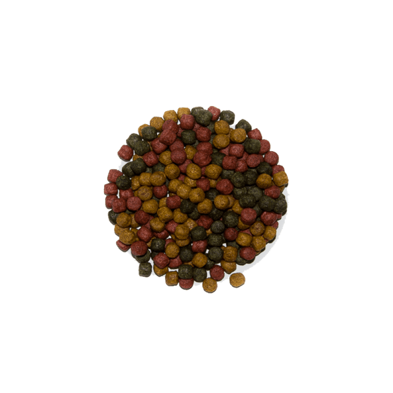 KOI PARADISE Allround-Mix 5kg