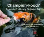 KENJI Koi Growth+ Wachstumsfutter 5kg – Bild 8