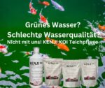 KENJI KOI Schlamm Ex 2,5 Kg – Bild 2