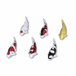 Koi Magnet