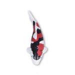 Koi Magnet – Bild 4