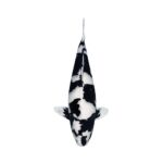 Koi Autoaufkleber
