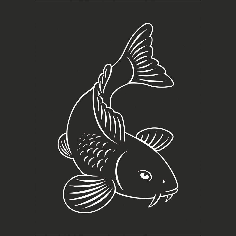 fisch_kontur_1920x1920 Koi Autoaufkleber mit weißer Kontur 2 Stück – Bild 1