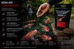 Color & Growth Farbfutter