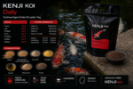 KENJI KOI Daily