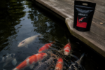 KENJI Koi Growth+ Wachstumsfutter 5kg – Bild 6