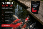 KENJI Koi Growth+ Wachstumsfutter 5kg – Bild 4