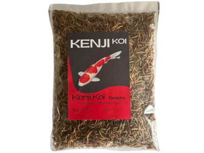 Mehlwürmer. Snack für Koi, Wildvögel, Terraristik
