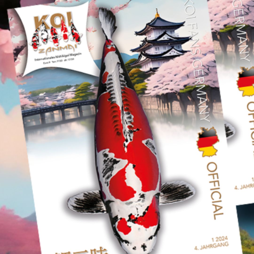 KoiZanmai KOI ZANMAI Ausgabe 1/2024 – Bild 1
