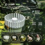 MOUNTAIN TREE Skimmer – Bild 3