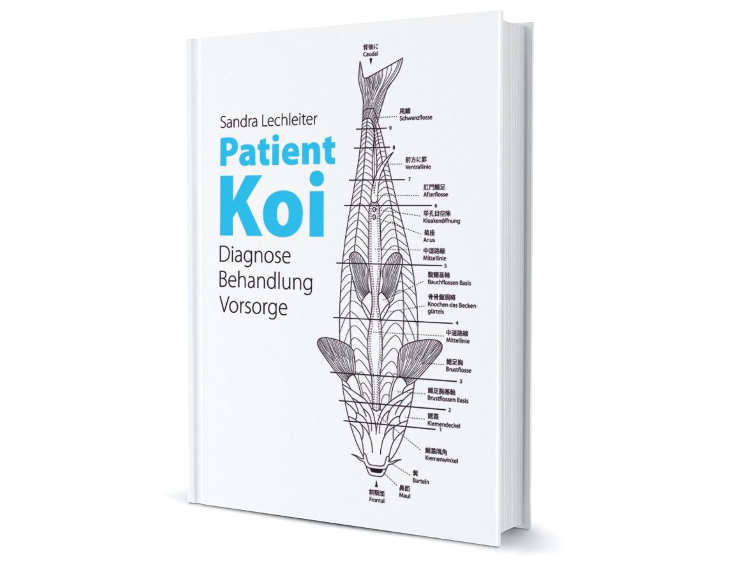 Patient_Koi_Buch Patient Koi von Sandra Lechleiter – Bild 1