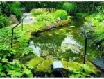Velda Pond Protector – Bild 3